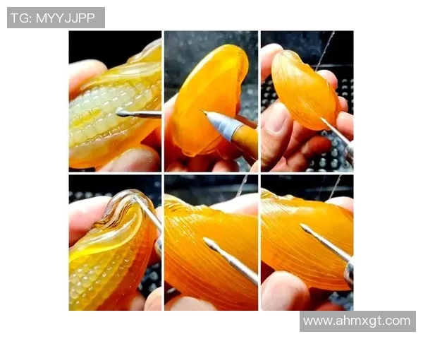 23与24的对比图片分析揭示了两者之间的细微差异与独特魅力